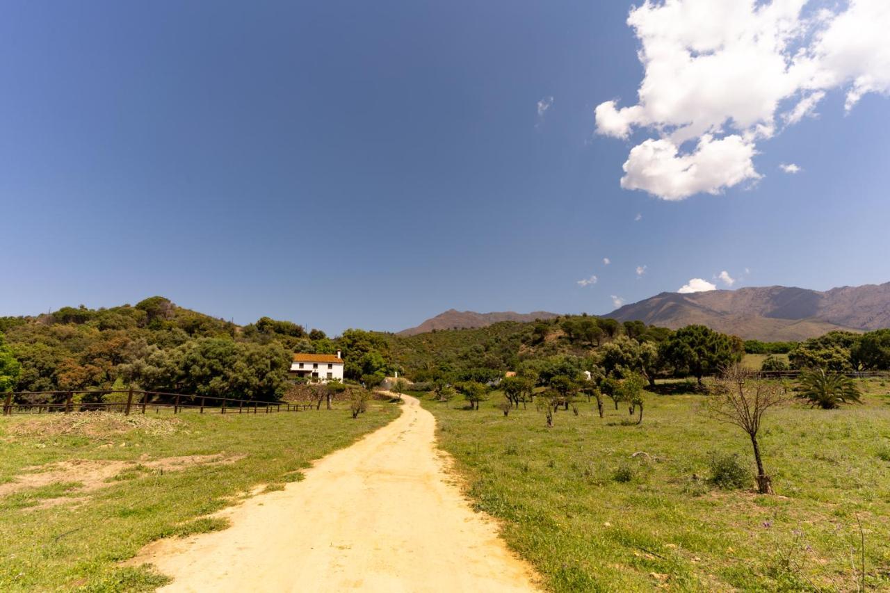 Finca Sta Teresa, Casa Grande Estepona Eksteriør billede