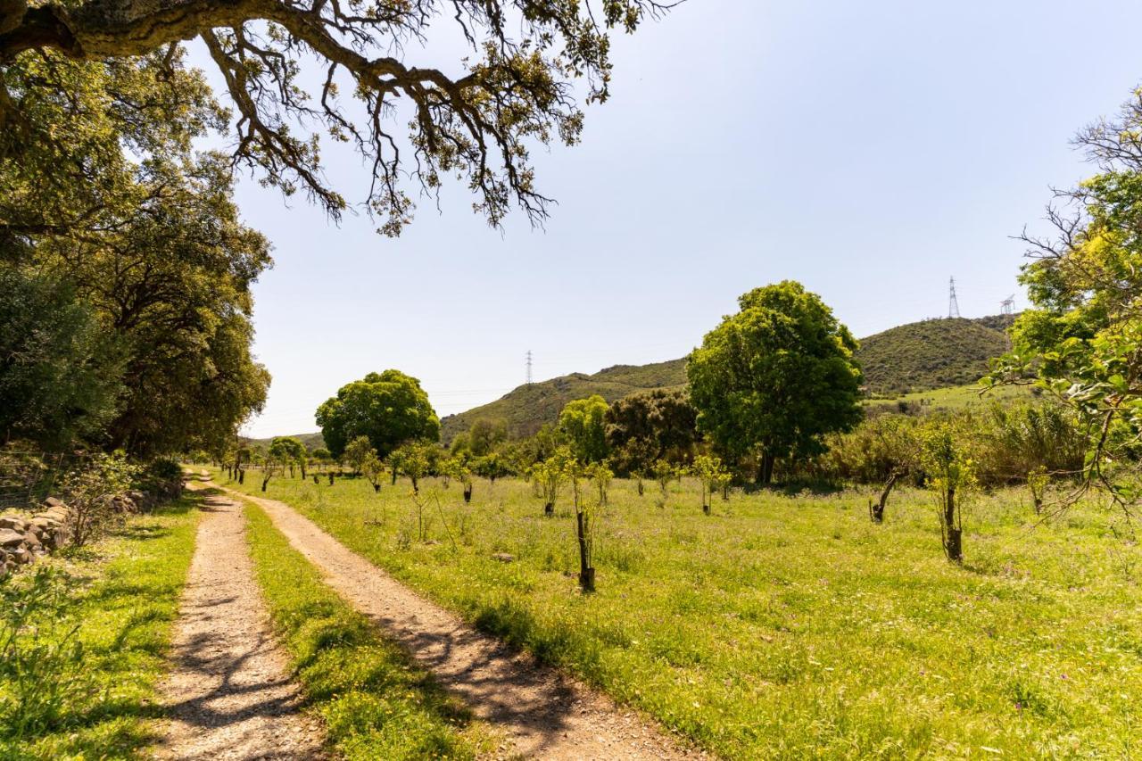 Finca Sta Teresa, Casa Grande Estepona Eksteriør billede
