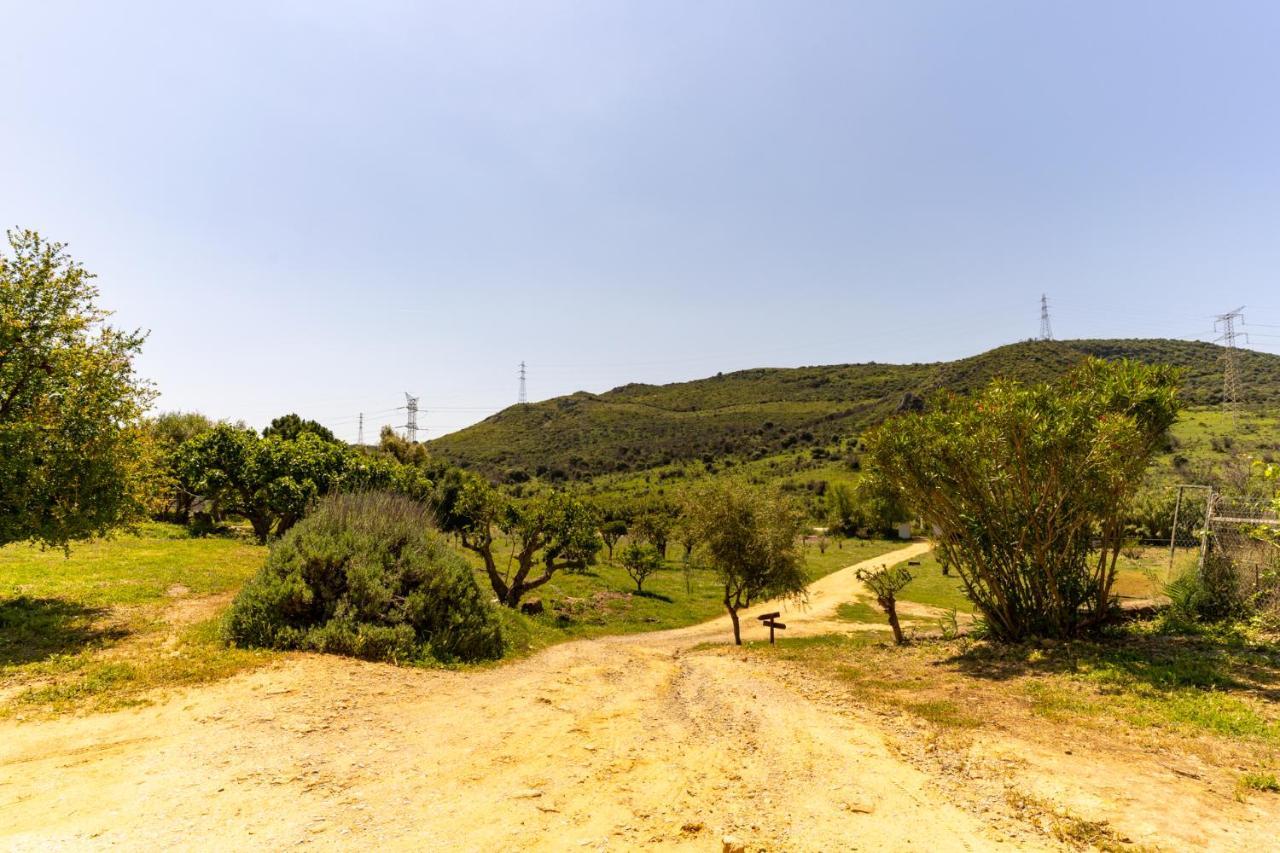 Finca Sta Teresa, Casa Grande Estepona Eksteriør billede