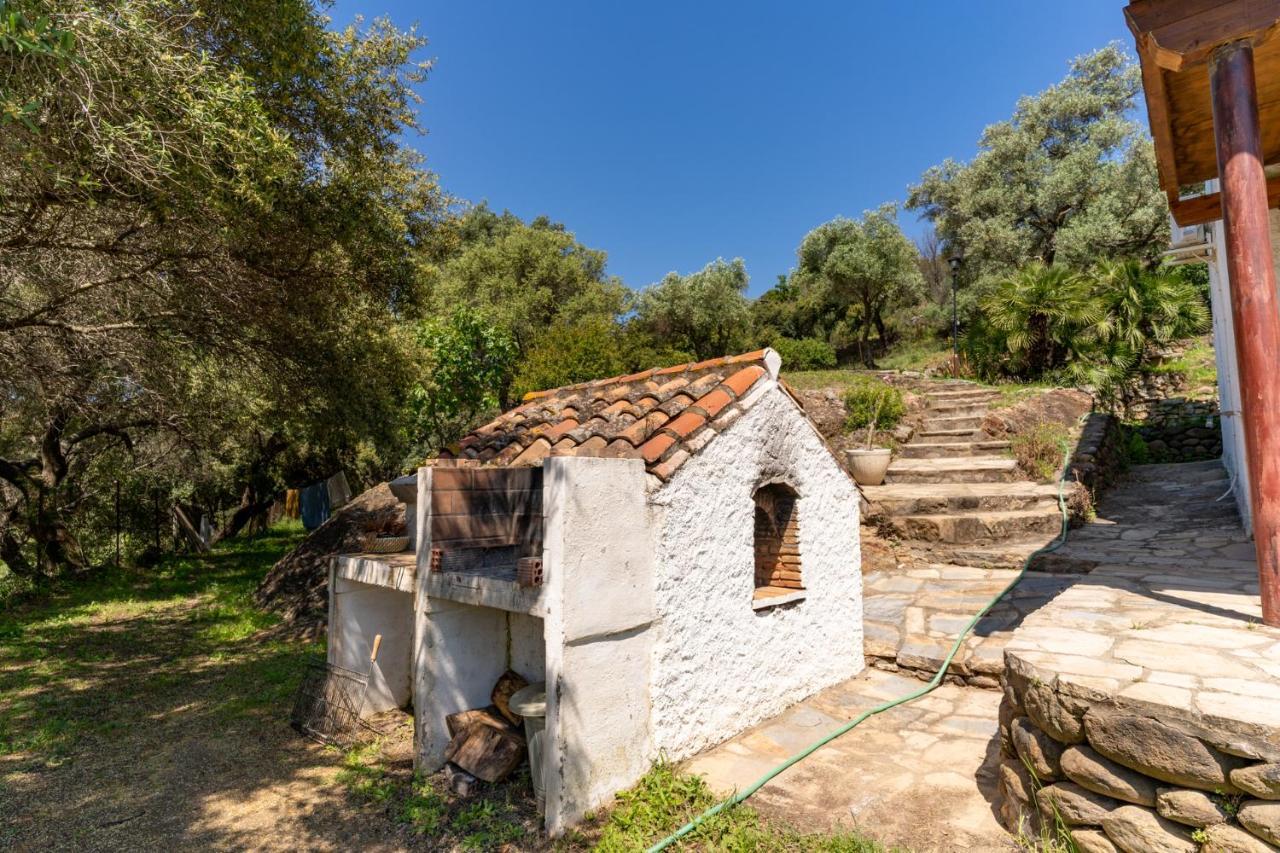 Finca Sta Teresa, Casa Grande Estepona Eksteriør billede