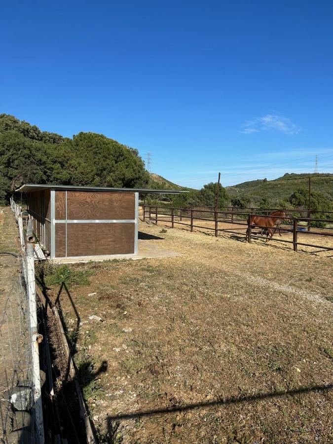 Finca Sta Teresa, Casa Grande Estepona Eksteriør billede